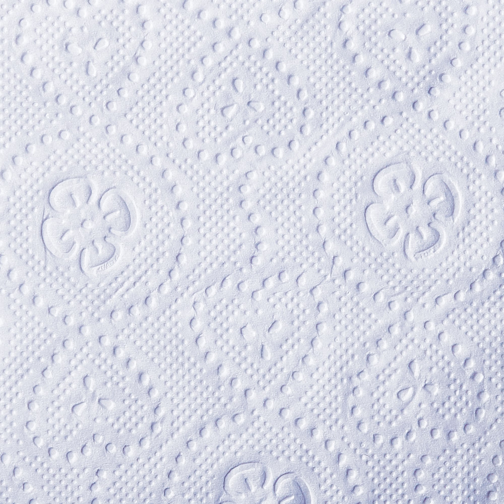 Texture of Select bath tissue single roll with hearts and leaves