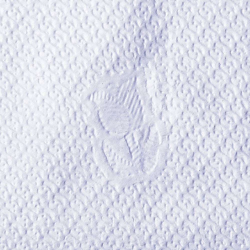 Close-up photograph of paper napkin texture with rose decal