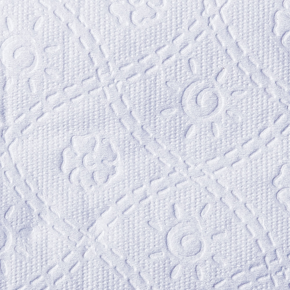 A close-up photograph of bath tissue paper (12 pack)